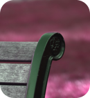 Sample Photography Sample Photography